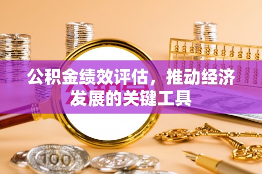 七股公积金绩效评估，推动经济发展的关键工具