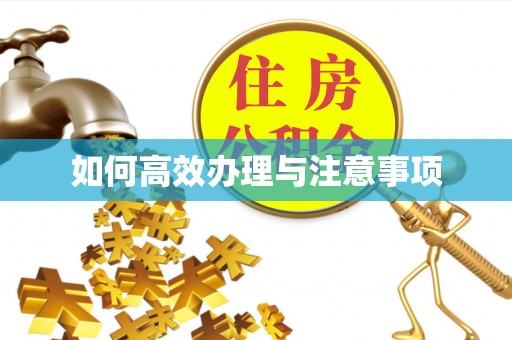七股如何高效办理与注意事项