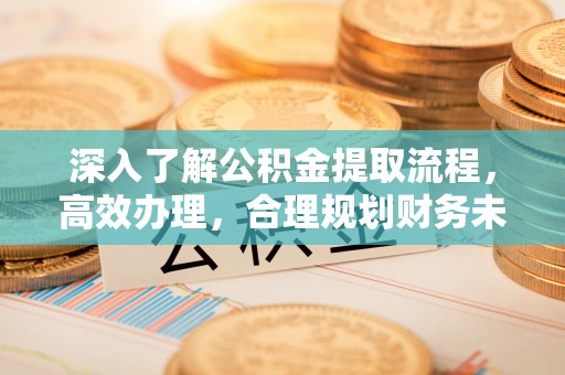 七股深入了解公积金提取流程，高效办理，合理规划财务未来