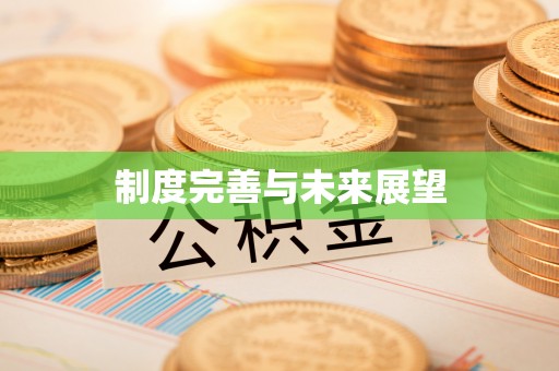 七股制度完善与未来展望