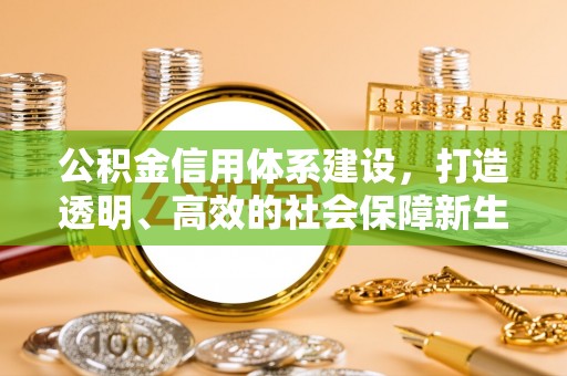 七股公积金信用体系建设，打造透明、高效的社会保障新生态
