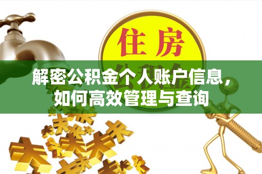 七股解密公积金个人账户信息，如何高效管理与查询