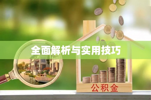 七股全面解析与实用技巧