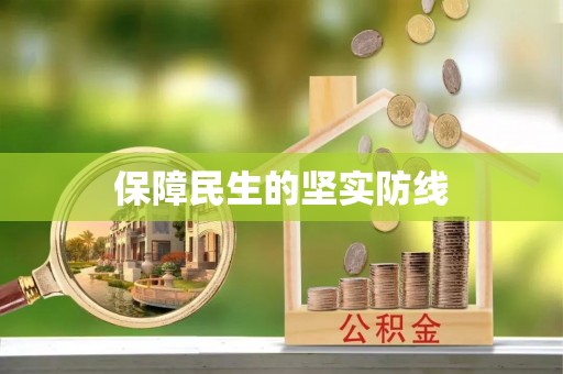 七股保障民生的坚实防线