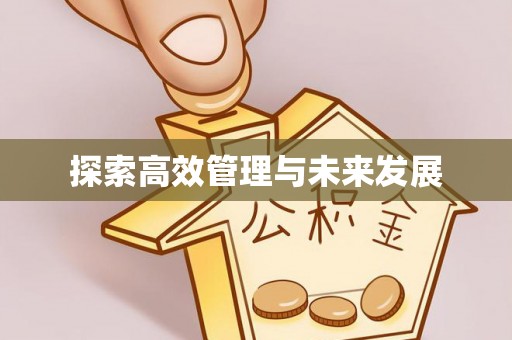 七股探索高效管理与未来发展