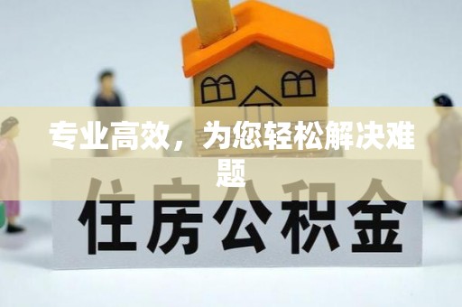 七股专业高效，为您轻松解决难题