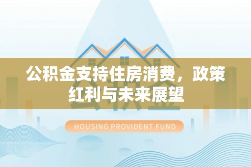 七股公积金支持住房消费，政策红利与未来展望