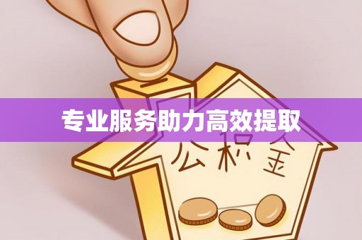 七股专业服务助力高效提取